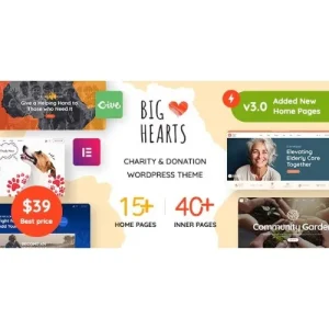 BigHearts – Charity & Donation WordPress Theme