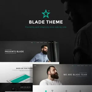 Blade – Responsive Multi-Functional Theme