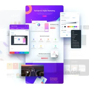 Divi Theme – Universal Template for WordPress