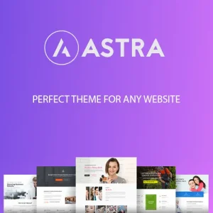 Download Astra Theme for free Astra WordPress Theme